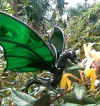(🔥Last Day Promotion 50% OFF) Dragon Hanging Stained Sun Catcher - Buy 2 Get Extra 10% OFF & Free Shipping