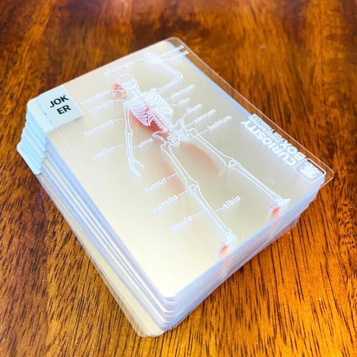 🎁TikTok Last Day Sale - 70% OFF🔥The Body Deck