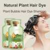 🎉Last Day 49% OFF🎉Natural Plant Hair Dye