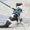 LAST DAY SALE-50% OFF ONLY TODAY-Cat Dogs Vest Harness and Leash Anti-break Away Chest Strap Cat Clothes