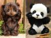(LIMITED EDITION) 🔥Artisanal Masterpieces: Handmade Plush Baby Bears