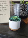 🌼Funny Succulent Pot