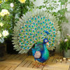 🔥Limited Time Sale 48% OFF🎉Handmade Peacock Statue Decor(Buy 2 free shipping)