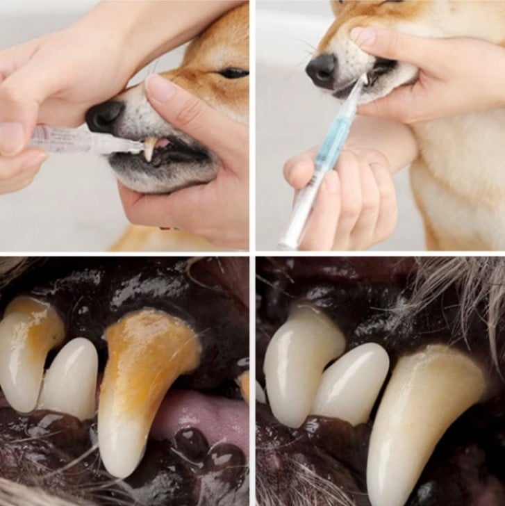 🔥(Last Day Sale- 50% OFF) Natural Plant Substance - Pet Teeth Repairing Kit