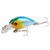 Minnow Fishing Lure