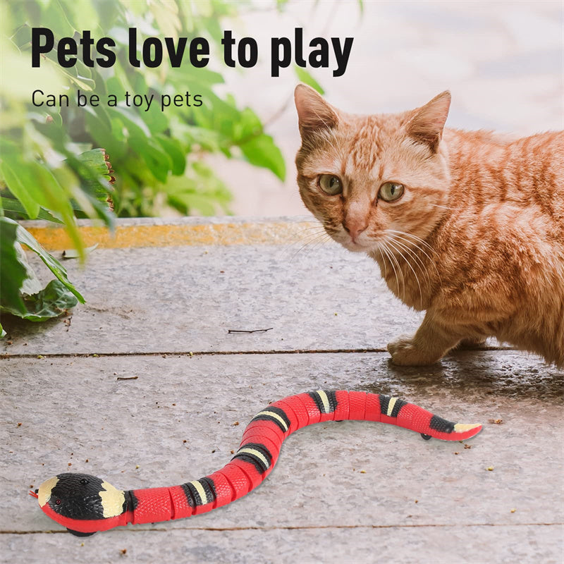 Interactive Snake Cat Toy