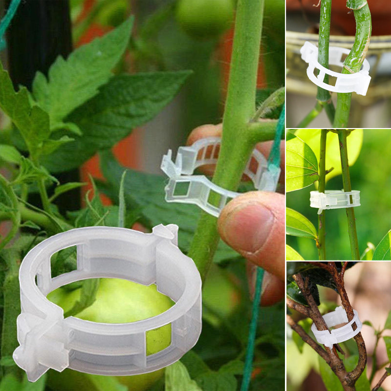 Last Day Promotion - 🔥Plant Support Clips