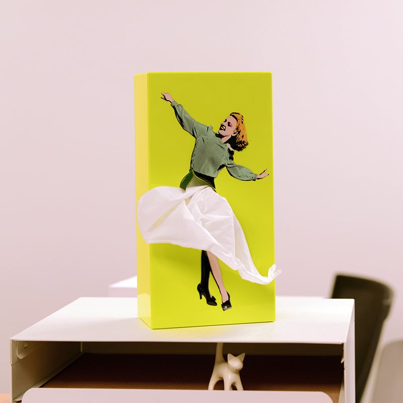 🎁 Flying Skirt Tissue Box, BUY 2 FREE SHIPPING