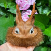 Handmade roe deer hat ornaments