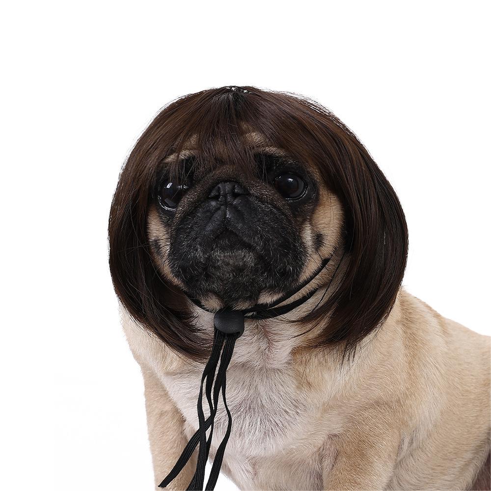 🔥Last Day Promotion - 60% OFF🎁🐕🐱Pet Wigs Cosplay Props