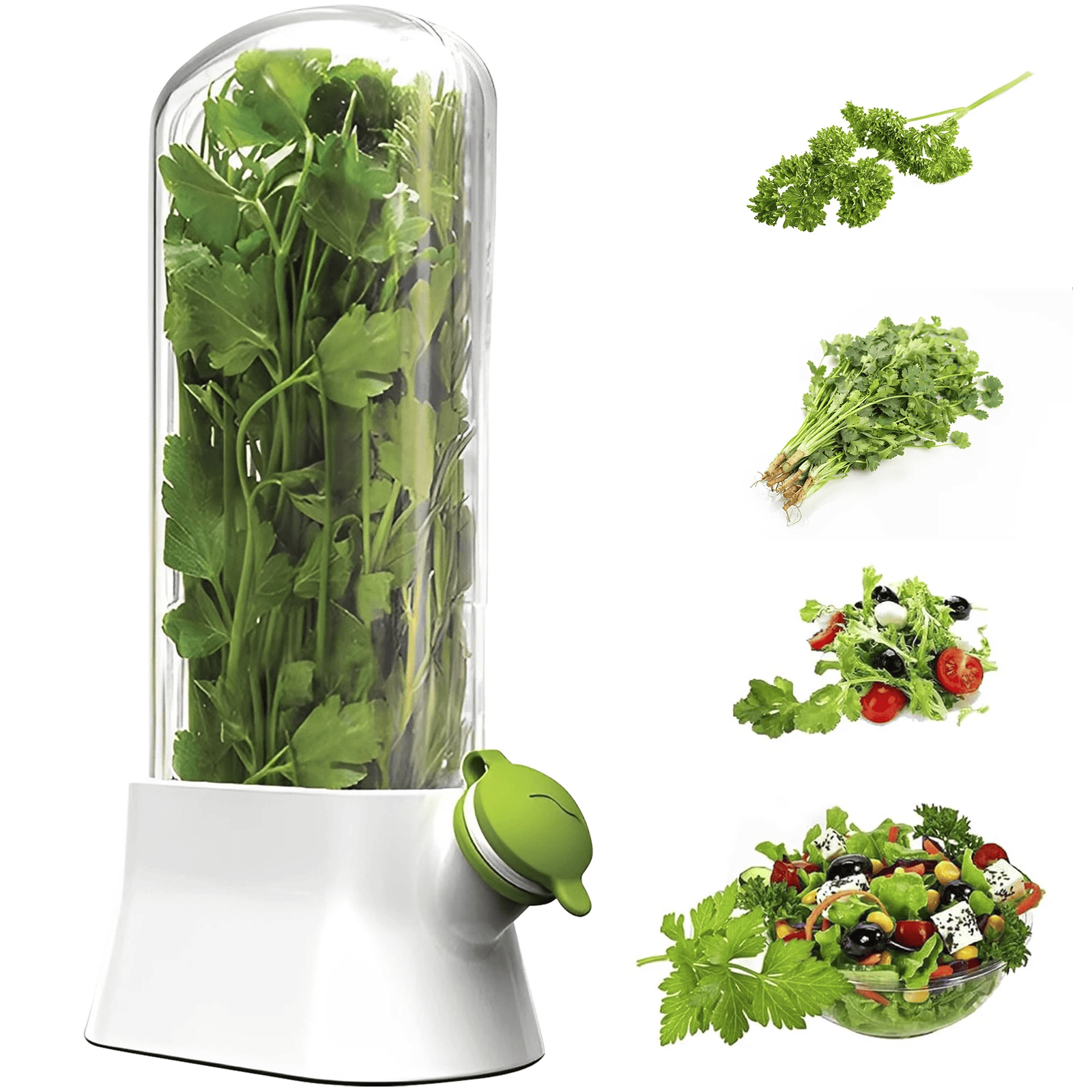 🔥Last Day Promotion 70% OFF🔥Cilantro Saver Container