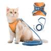 🎉🎉Early New Year Sale-Cat Vest Harness and Leash Set