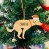 🐶Pooping Pooches | Funny Gifts