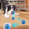 ⏰Letzte Tagesaktion 🔥Shaky Ball Spielzeug für Hunde