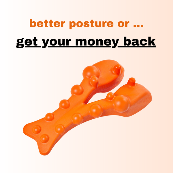 LAST DAY 50% OFF🔥Posture Enhancer Spine Relief Shelf - Buy 2 Get Extra 10% Off & Free Shipping