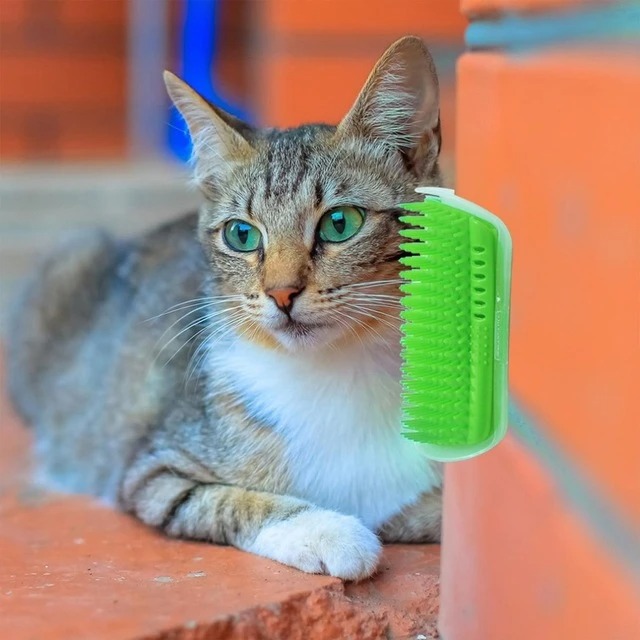 ⛄Early New Year Hot Sale 50% OFF⛄ - The Cat's Corner Massage Brush