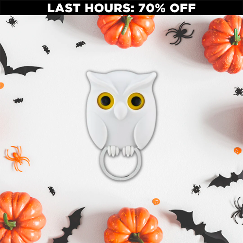 Spooky Night Owl Key Holder (70% OFF)