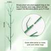 ⏰LAST DAY SALE 50% OFF💥5 pack Plant Support Stakes⚡Buy 2 Free Shipping