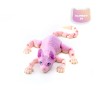 💥LAST DAY SALE 50% OFF💥Mystic Meow (3D Guardian Cat)