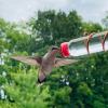 Geometric Window Hummingbird Feeder🐦，BUY 2 FREE SHIPPING NOW