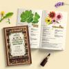 🔥Last Day 57% OFF🔥🍃The Forgotten Apothecary Seed Chest - 40 Varieties of Medicinal Herb Seeds