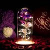 🔥Last Day 50% OFF - Enchanted Sparkly Rose™