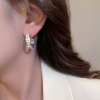 (🌲🔥 Last Day  Sale- SAVE 48% OFF)✨Sparkle Small Hoop Earrings😍