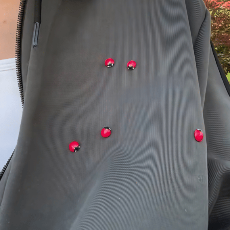 💥LAST DAY SALE 50% OFF🐞Ladybug Clothing Decorations(10Pcs)⚡BUY 2 FREE SHIPPING