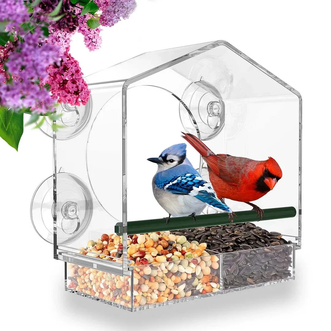 🔥Early Summer Sale 49%OFF🔥--Window Bird Feeder for Outside[BUY 2 FREE SHIPPING]