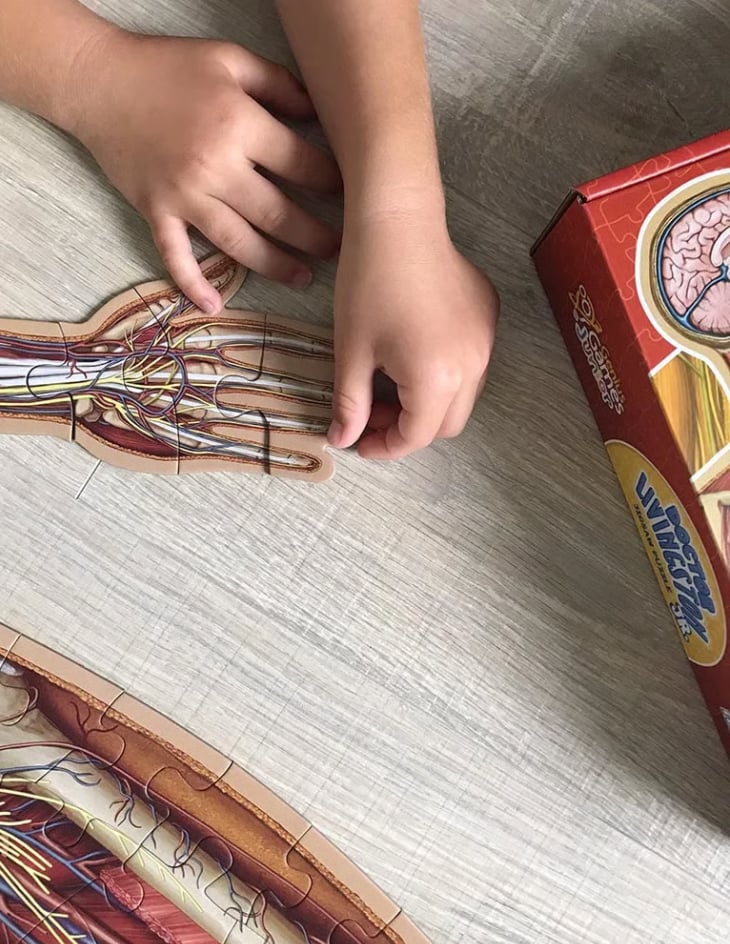 ⏰LAST DAY SALE 50% OFF🔥Kid's 100 Piece Human Body Floor Puzzle