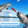 🔥Letzter Tag 49% RABATT🎁Angel-Adventskalender 2025 Köder-Set