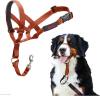 HALTI Headcollar - To Stop Your Dog Pulling on the Leash. Adjustable, Reflective and Lightweight, with Padded Nose Band. Dog Training Anti-Pull Collar for Medium Dogs (Size 3, Red)