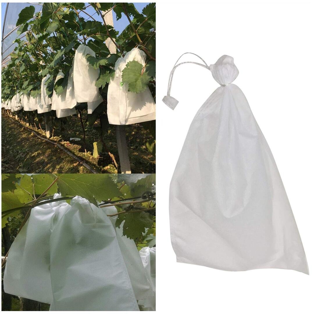 (🔥Clearance Sale - 65% OFF)Fruit exclusion bags (1SET/50PCS) , BUY 2 GET 1 FREE