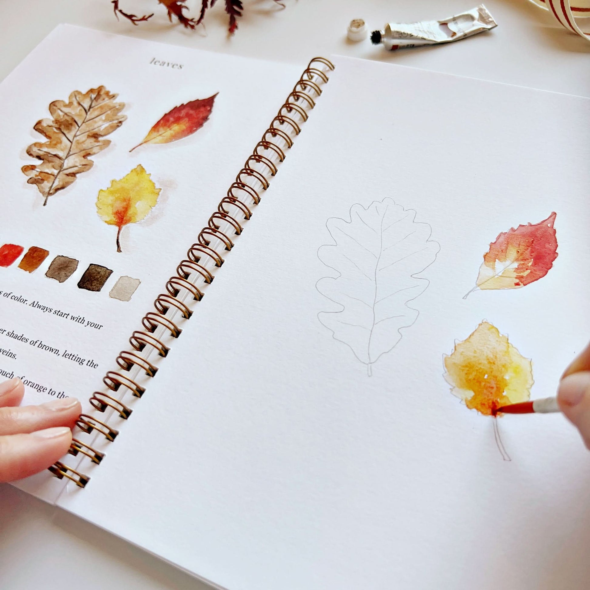 🍂Autumn Watercolor Workbook