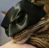 Bat Cat Avenger Mask
