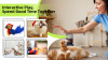 🐦Upgraded Simulated Chirping Bird Toy🎄
