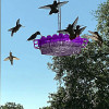 (🔥Spring Promotion-50%🔥)-🐦Hummingbird Feeder With Perch And Built-in Ant Moat (BUY 2 GET 1 FREE)