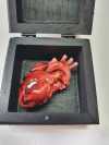 🔥Last Day Sale - 50% OFF🎁My Heart In A Box