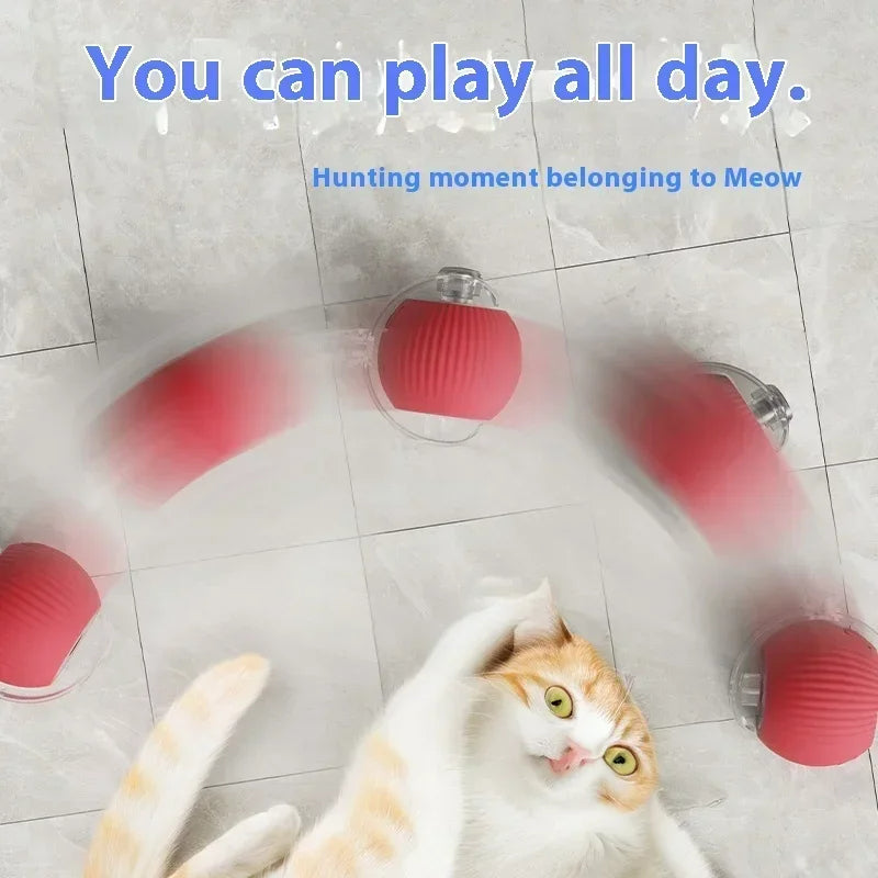 🔥Last Day Promotion 48% OFF-🎁-2025 New Interactive Rolling Pet Ball Toy