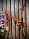 🔥 Celebrate July 4th with 50% OFF!🌿Rusty rural metal ferns are inserted into outdoor garden courtyard decorations and artificial plant handicrafts