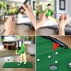 🔥(Last Day Promotion -50% OFF)⛳Mini Golf Toys, Play Golf Indoor Games - BUY 2 FREE SHIPPING