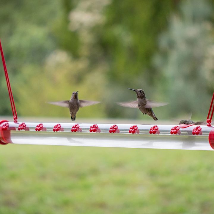 (🔥Last Day Promotion- SAVE 48% OFF)Flower Bar Hummingbird Feeder(BUY 2 GET FREE SHIPPING)
