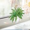 🍁Fall Harvest Sale: 60% OFF! String of Turtles Suncatcher: Greenery Window Decor