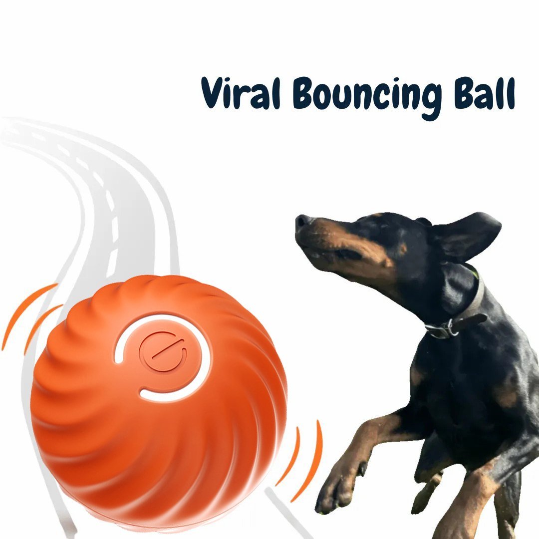 2025 New release-50% off-Pet BounceBal🐶