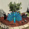 🎁Last Day Promotion- SAVE 70%🎉Beautiful Peacock Statue Decor🦚