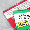 🎄Steve Wall Calendar✨