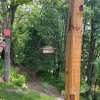 Hummble Slim Hummingbird Feeder