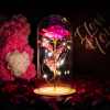 🔥Last Day 50% OFF - Enchanted Sparkly Rose™