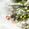 (🌲EARLY CHRISTMAS SALE - 49% OFF) Funny Dog Pooping Ornaments