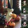 (🌲Early Christmas Sale- SAVE 48% OFF) Handmade Halloween Mouse With A Pumpkin